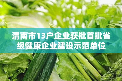 渭南市13户企业获批首批省级健康企业建设示范单位