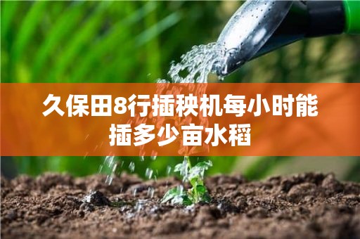 久保田8行插秧机每小时能插多少亩水稻