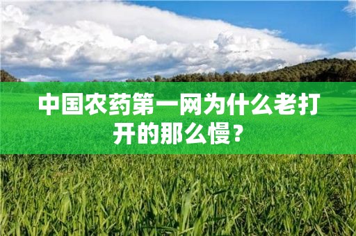 中国农药第一网为什么老打开的那么慢？