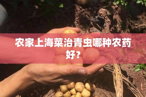 农家上海菜治青虫哪种农药好？
