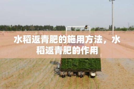 水稻返青肥的施用方法，水稻返青肥的作用