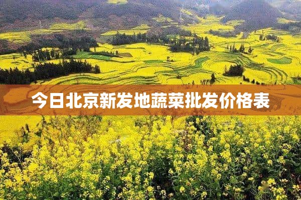 今日北京新发地蔬菜批发价格表
