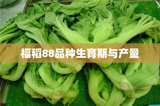 福稻88品种生育期与产量