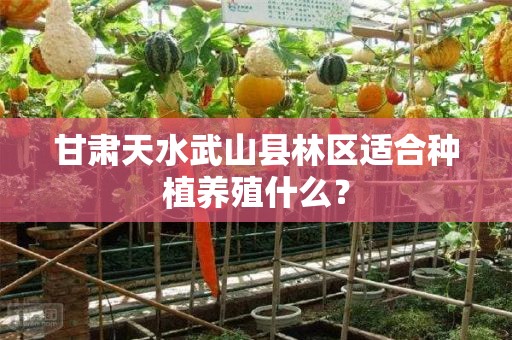 甘肃天水武山县林区适合种植养殖什么？