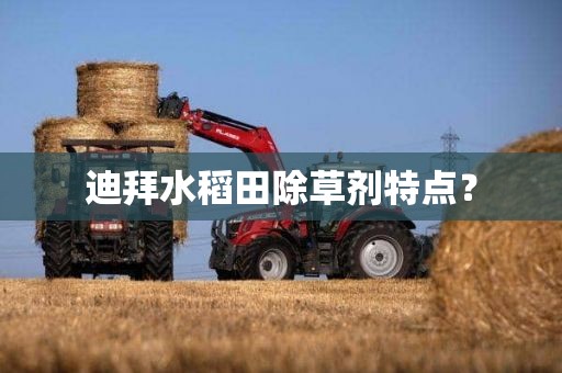 迪拜水稻田除草剂特点？