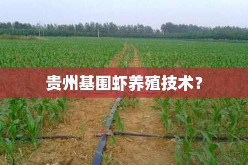 贵州基围虾养殖技术？