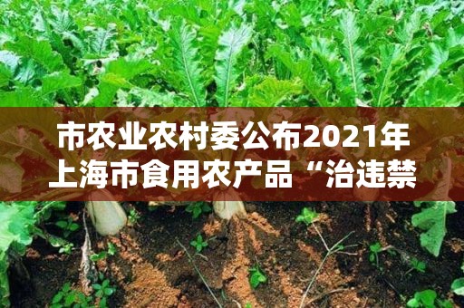 市农业农村委公布2021年上海市食用农产品“治违禁 控药残 促提升”三年行动典型案例