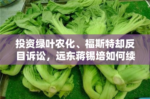 投资绿叶农化、福斯特却反目诉讼，远东蒋锡培如何续写新故事