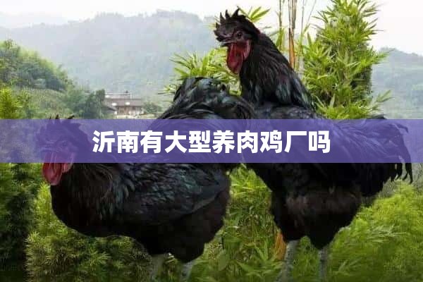 沂南有大型养肉鸡厂吗