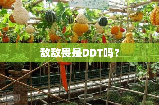 敌敌畏是DDT吗？