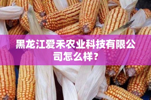 黑龙江爱禾农业科技有限公司怎么样？