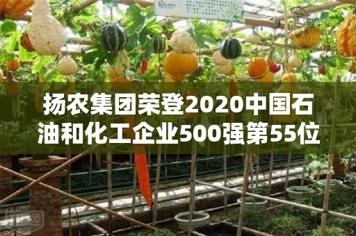 扬农集团荣登2020中国石油和化工企业500强第55位